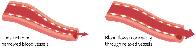 aq_block_24