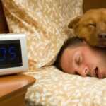 Man sleeping peacefully with his dog.