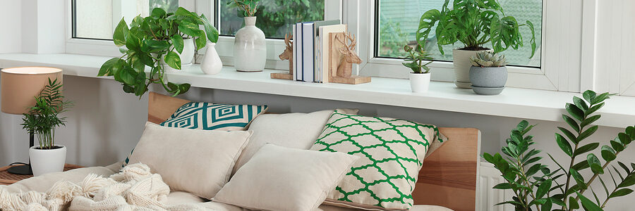 Hose plants on window sill